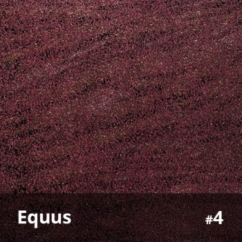 Equus 4